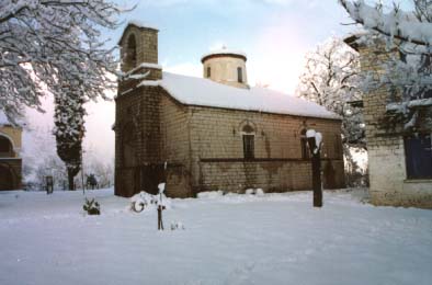 Χειμερία νάρκη